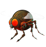 cuyten boilies INSECTICONS  width=