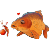 cuyten boilies DRUKZ  width=