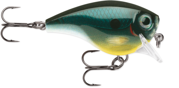 RAPALA BX BRAT MID 05 CARBON 6CM 1.8M