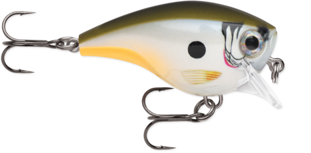 RAPALA BX BRAT BXB06 HDG 5CM 1.8M