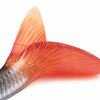 Fox Rage Ultra-Realistic Roach Replicant 18cm - 80g/#1/0