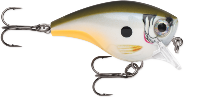 RAPALA BX BRAT BXB06 HDG 5CM 1.8M