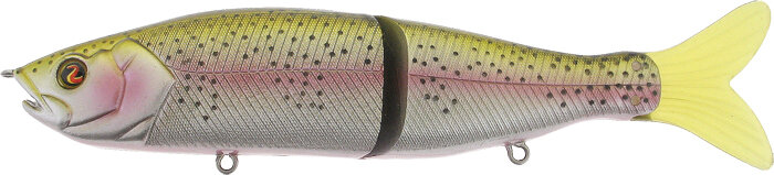 Rainbow Trout