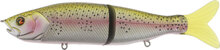 Rainbow Trout