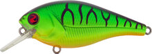 Biggie - color 18 Fire Tiger
