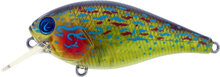 Biggie - color 10 Real Sunfish