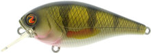 Biggie - color 09 Real Perch