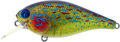 Biggie - color 10 Real Sunfish