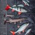 Fox Rage Ultra-Realistic Roach Replicant 18cm - 80g/#1/0
