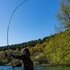 Fox EOS - Pro 12ft 3lb 2pc