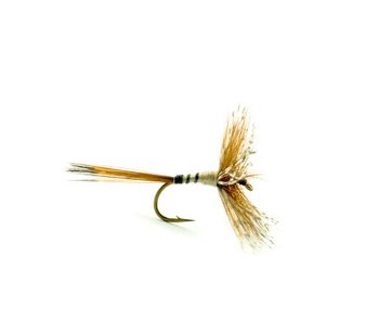 Devaux DVX Dry Flies 1 699H14 Devaux DVX Dry Flies 1 699H14